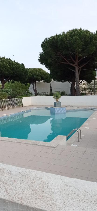Piscine Au Couchant Appartement La Grande Motte